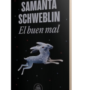EL BUEN MAL - SAMANTA SCHWEBLIN